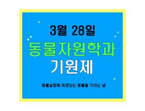 이미지 없음