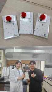 이미지 없음